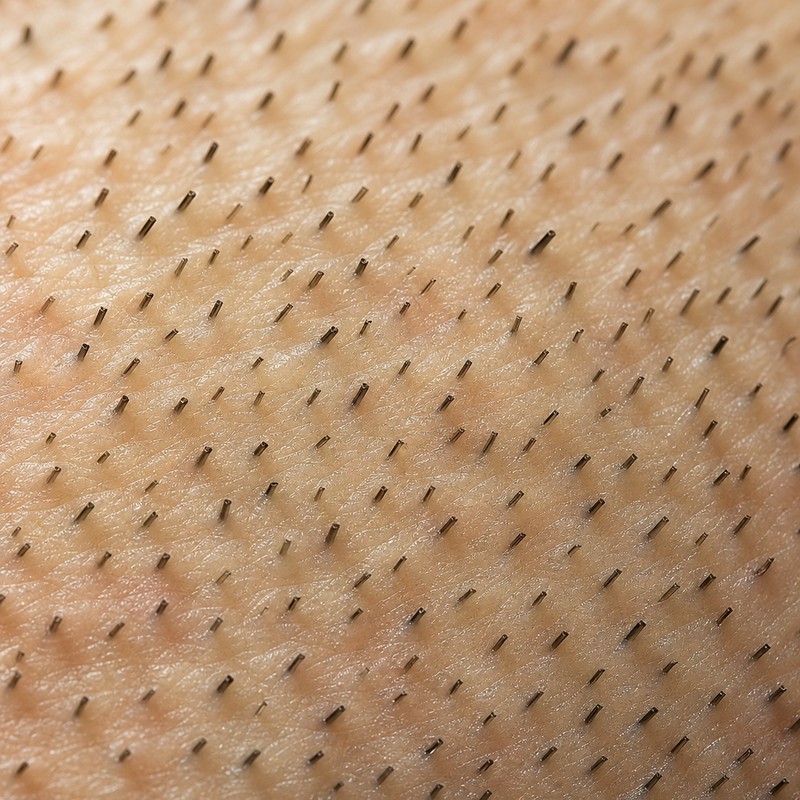 Blunt edge left after shaving body hair