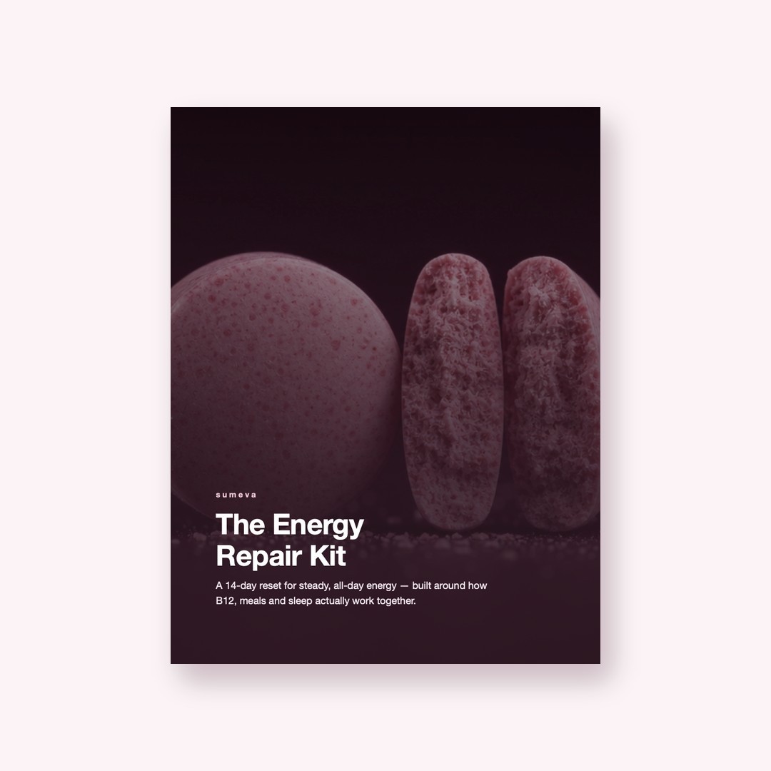 The Energy Repair Kit guide cover